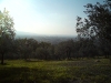 dsc00034