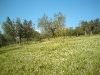 dsc00035